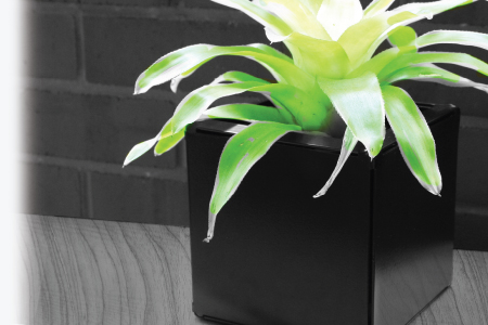 planter_main